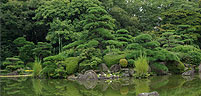 いきなりの日本庭園