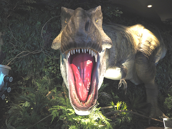 大きな口を空ける恐竜