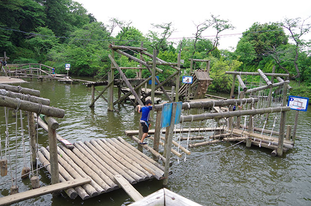 丸太の橋に挑戦する子供