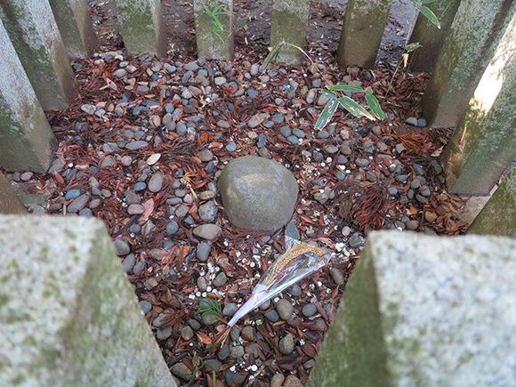 地面からぽっこり出た丸い石