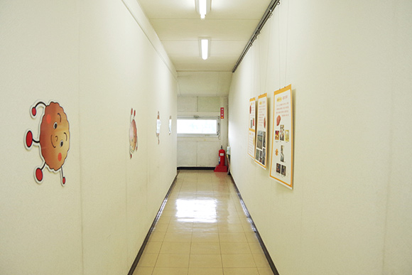キャラクターが壁に貼られた廊下