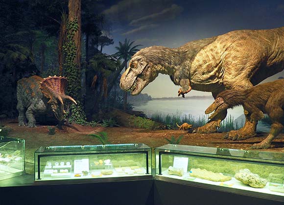 恐竜の展示物