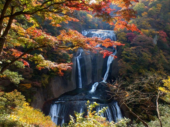 赤く色づく葉と袋田の滝