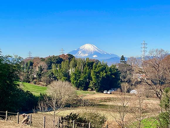 里山公園から見た富士山