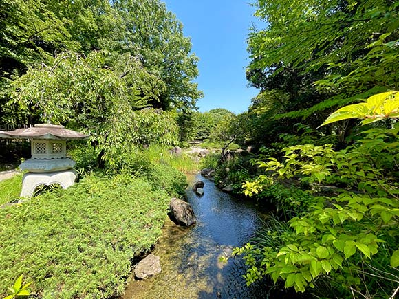 自然あふれる日本庭園