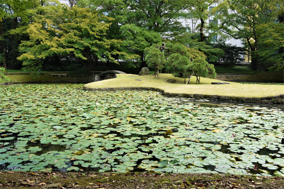 池を中心とした日本式庭園