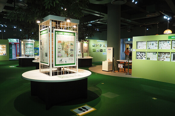 床と壁が緑の展示室
