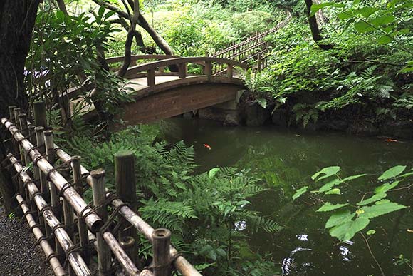 日本庭園の池に架かる橋