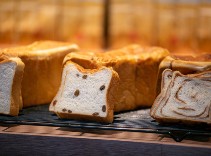 高級食パン専門店 小麦の学校