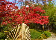 八幡市立松花堂庭園・美術館