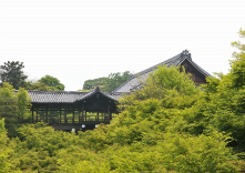 大本山 東福寺