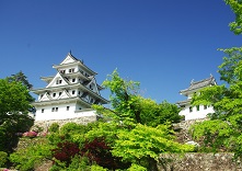 郡上八幡城