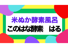 このはな酵素 はる