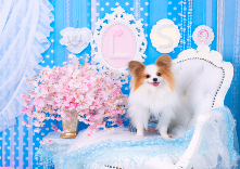 Hair Make Earth 大崎店のクーポン 割引 駐車サービス券等の優待情報 タイムズクラブ会員特典施設 駐車サービス券