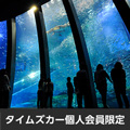 eクーポン画像