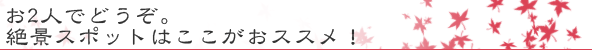 お2人でどうぞ。絶景スポットはここがおススメ！