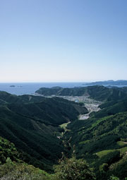 曲がりくねったツヅラト峠