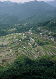 日本有数の棚田、丸山千枚田