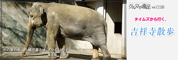 タイムズから行く、吉祥寺散歩