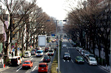 原宿 神宮橋の歩道橋から