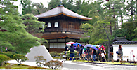 灯籠と桜