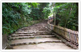 彦根城の天守閣へと通じる階段