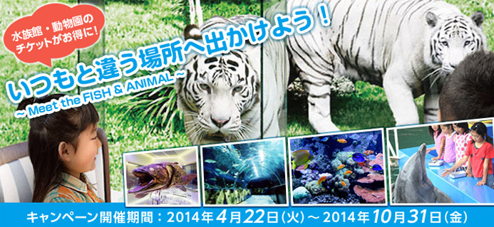いつもと違う場所へ出かけよう！　Meet the FISH & ANIMAL 特集　キャンペーン開催期間：2014年4月22日（火）～2014年10月31日（金）