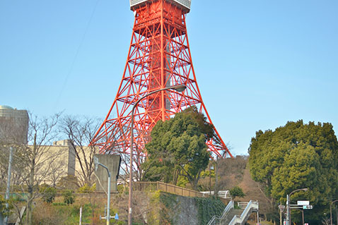 東京タワー遠景
