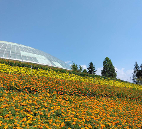 山梨県笛吹川フルーツ公園