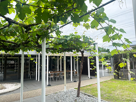 大日本山梨葡萄酒会社