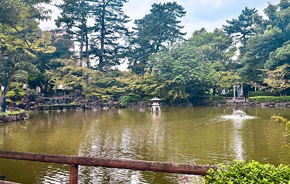 緑に囲まれた池