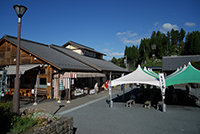 道の駅どんぐりの里いなぶ全景