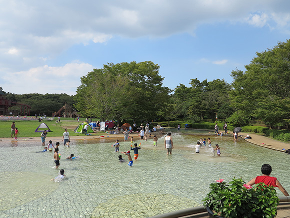 池で楽しそうに遊ぶ子どもたち