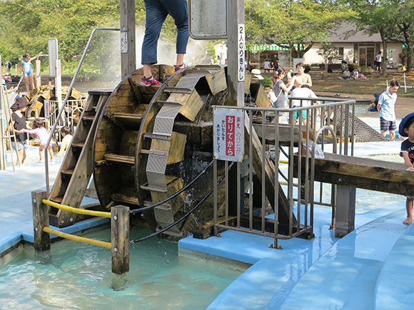 アスレチックに水遊び ふなばしアンデルセン公園 を楽しんできた