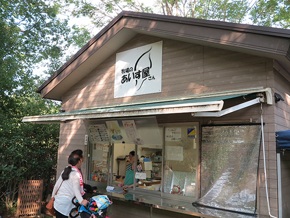 アスレチックに水遊び ふなばしアンデルセン公園 を楽しんできた