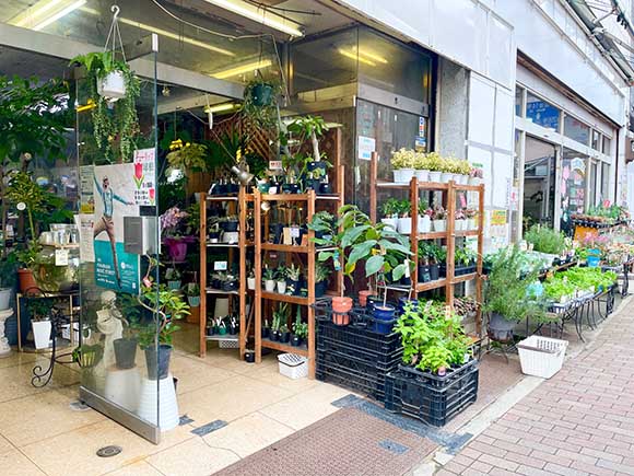 店先にまで植物が並ぶお店