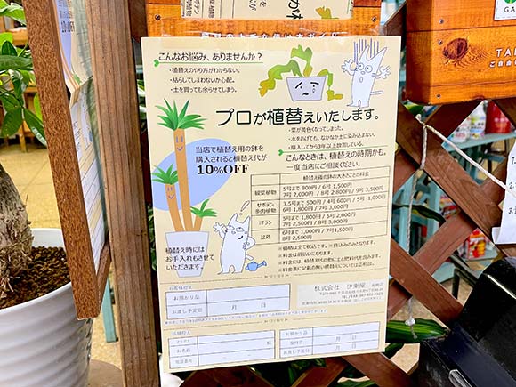 店内に掲示さた植替サービスのチラシ