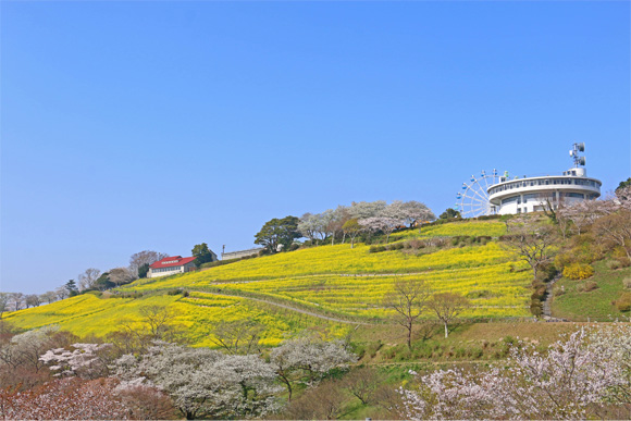 広大な土地