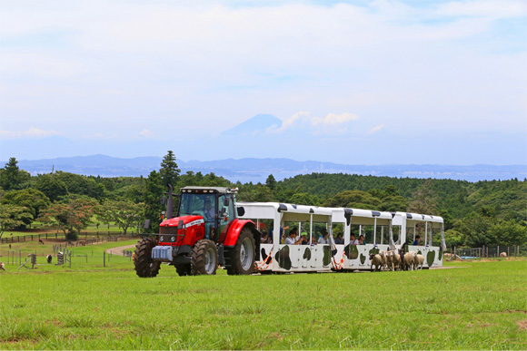 マザー牧場好きが考えた 牧場を1 楽しむ8つの方法 免許と一緒に タイムズクラブ