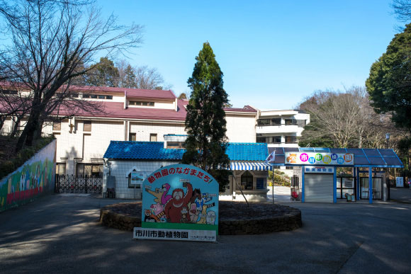 市川市動植物園の入口