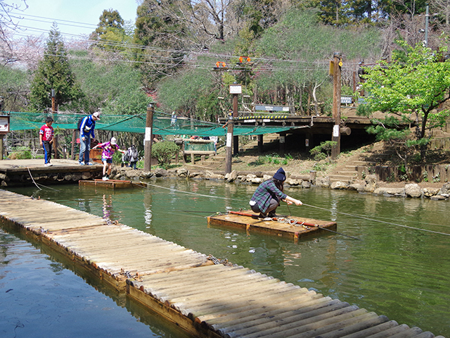 大人も子どもも楽しめる 市川 ありのみコースでアスレチックを体験してきた 免許と一緒に タイムズクラブ