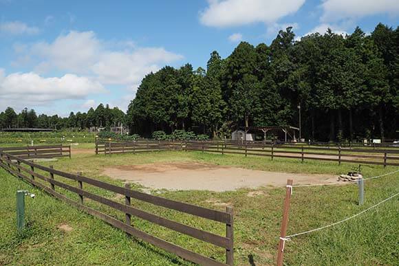 農園の中にあるキャンプ場