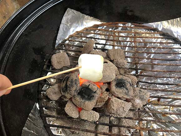 串に刺したマシュマロ焼き