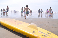 砂浜で遊ぶ人達とサーフボード