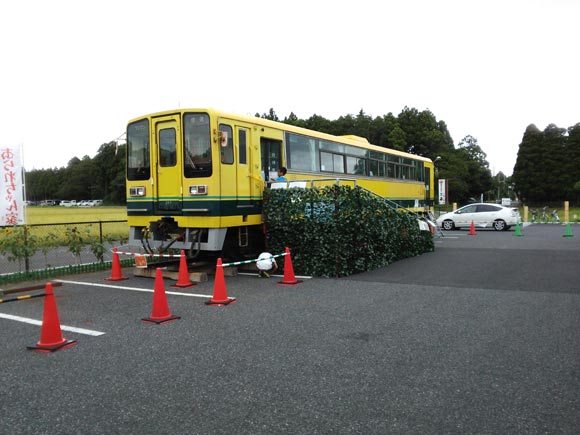 黄色が印象的な電車の車両