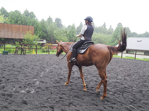 馬に乗った女性の後ろ姿