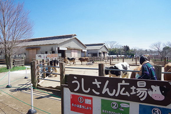 うしさん広場と看板