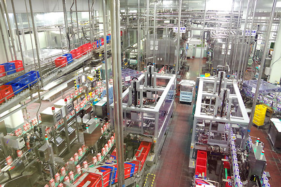 工場内を流れる牛乳パックや製造の様子