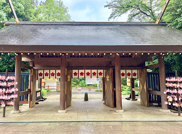 桜の紋幕がかかった門