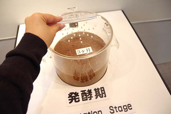 もろみの香を嗅げる展示